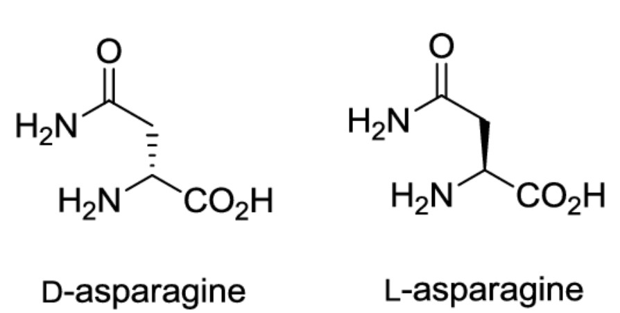 asparagine D et L.jpg