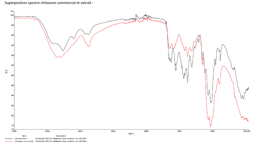 LVG96 - superposition spectre IR chitosane commercial et extrait.png