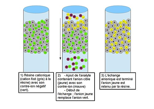 Schéma_de_l'échange_anionique.jpg