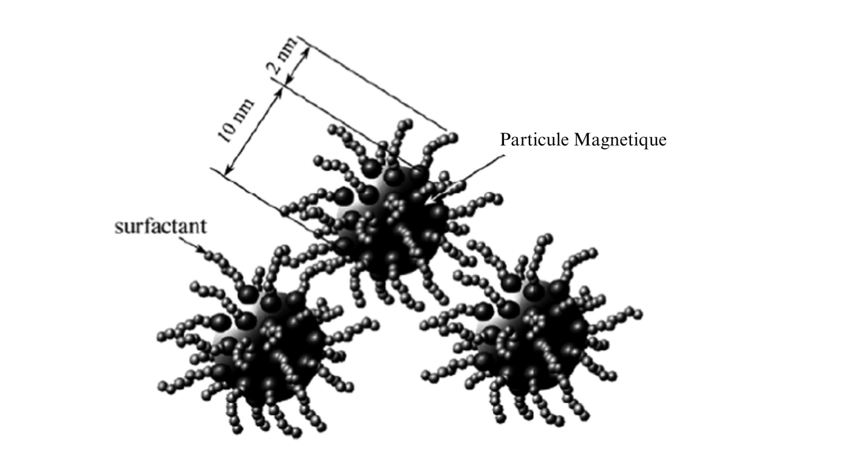 Particule Magnetique.png