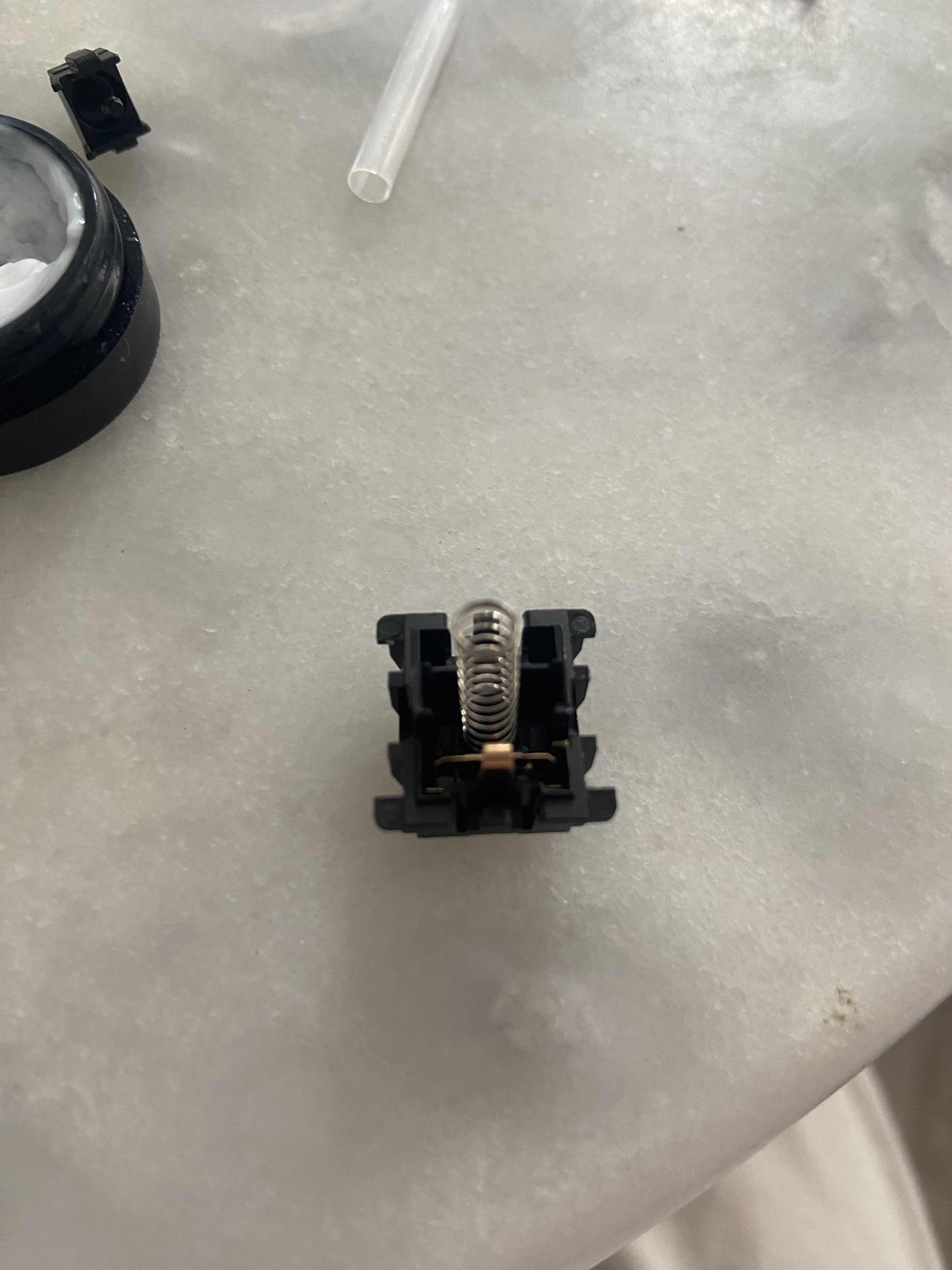 14. Spring in Bottom housing.jpg