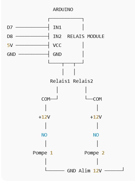 WhatsApp Image 2026-01-28 at 15.35.19.jpeg