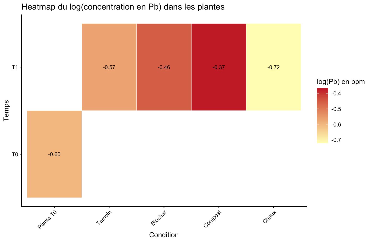 Plantes de plomb.jpeg
