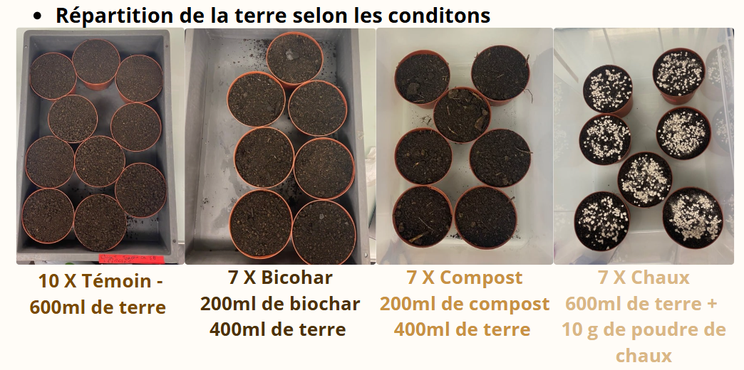 répartition terre.png