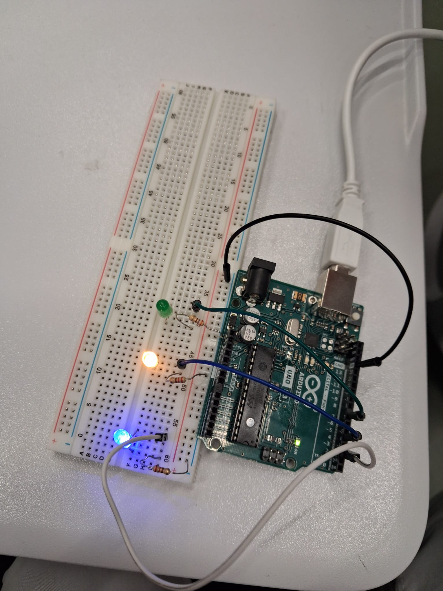 WhatsApp Image 2026-01-30 at 16.31.10.jpeg