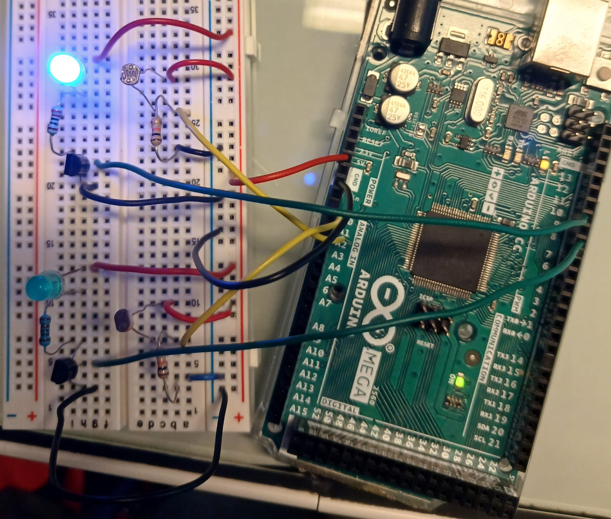 WhatsApp Image 2026-02-27 at 15.17.09.jpeg