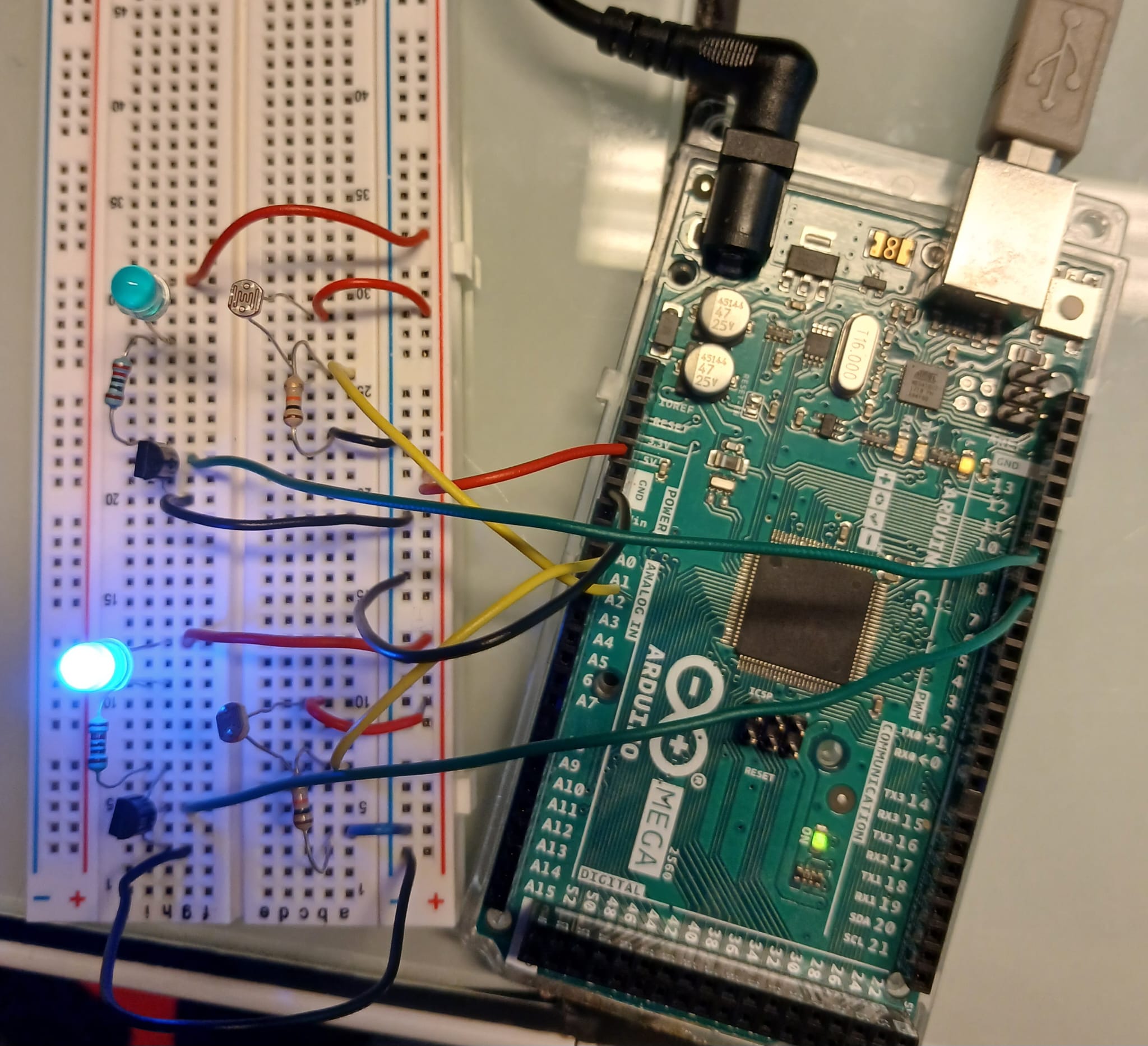 WhatsApp Image 2026-02-27 at 15.17.10.jpeg