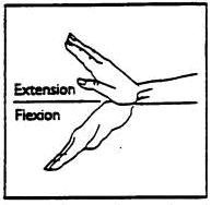 flexion_extension.jpg
